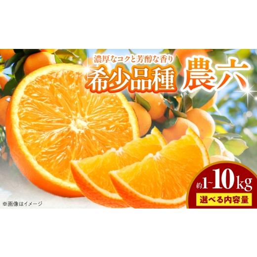 ふるさと納税 果物類 みかん 愛媛県 砥部町 みかん 農六 約1kg 2月上旬から3月下旬まで順次発送 / フルーツ 果物 蜜柑 ミカン オレンジ 小玉 甘い 先行予約 1…