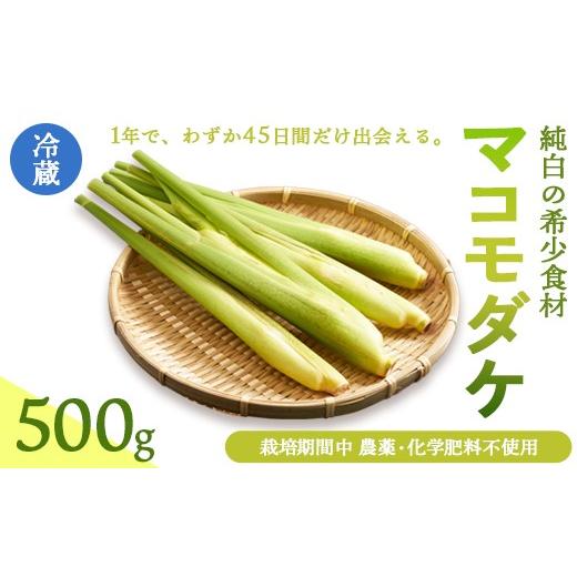 ふるさと納税 野菜類 京都府 綾部市 マコモダケ 500g | 綾部市産 マコモダケ 栽培期間中農薬不使用 選べる容量 500g:7,000円