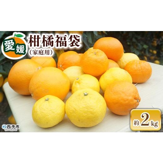 ふるさと納税 みかん・柑橘類 愛媛県 西予市 先行予約 笑丸のお楽しみ柑橘福袋(家庭用)約2kg 自宅用 訳あり 果物 くだもの フルーツ ミカン みかん 蜜柑 高…