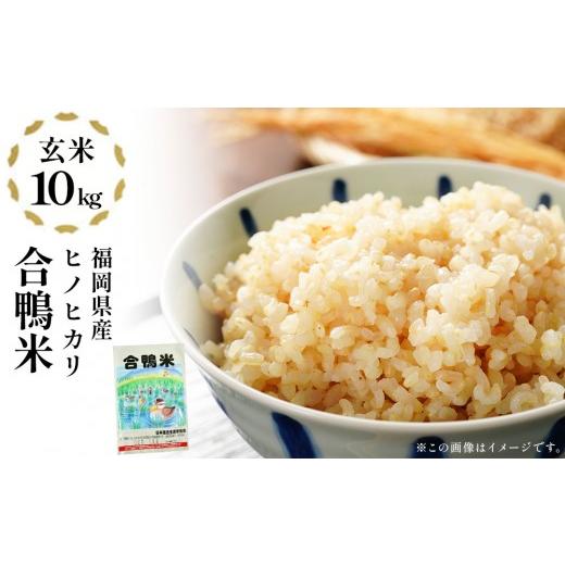 ふるさと納税 米 ヒノヒカリ 福岡県 大木町 先行予約 令和8年産 合鴨米「ヒノヒカリ」(玄米・10kg)