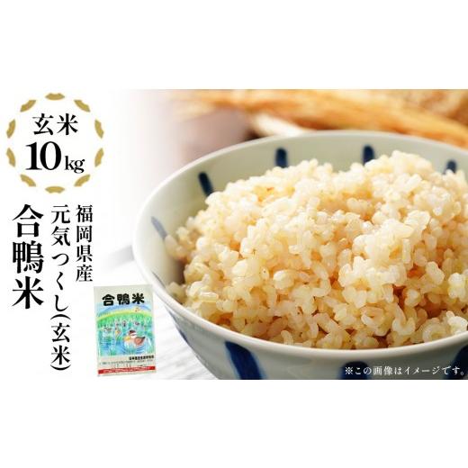 ふるさと納税 米 福岡県 大木町 先行予約 令和8年産 合鴨米「元気つくし」(玄米・10kg)数量限定