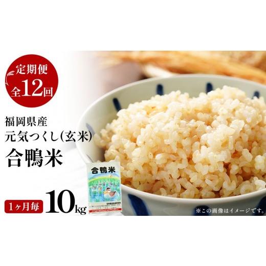 ふるさと納税 米 福岡県 大木町 先行予約 令和8年産 合鴨米「元気つくし」(玄米・10kg)定期便12回コース 数量限定 令和8年10月スタートの定期便