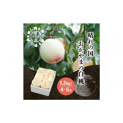ふるさと納税 もも 岡山県 岡山市 晴れの国 おかやまの白桃 1.2kg以上(4〜5玉) 先行受付:2026年8月中旬〜発送