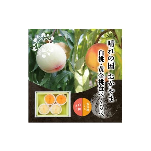 ふるさと納税 もも 岡山県 岡山市 晴れの国 おかやまの白桃&黄金桃食べ比べ4玉 先行受付:2026年8月下旬〜発送