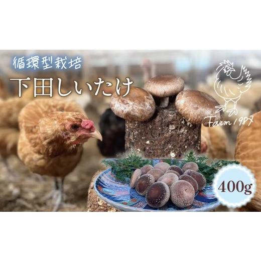 ふるさと納税 野菜類 きのこ 静岡県 下田市 下田 しいたけ 400g 先行予約 10月中旬以降発送 椎茸 シイタケ 菌床椎茸 循環型栽培 ミックスサイズ S M L きのこ …