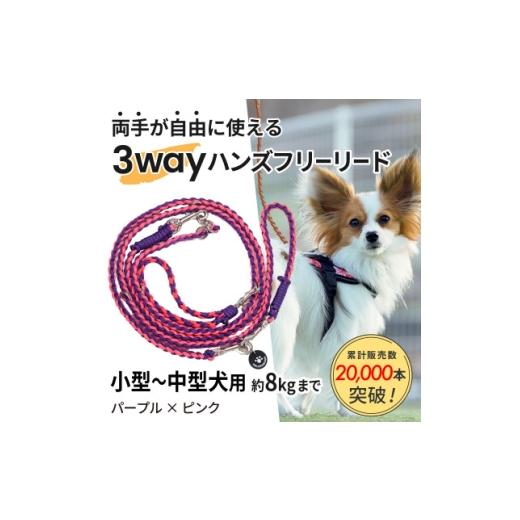 ふるさと納税 雑貨・日用品 静岡県 掛川市 犬用 3WAYハンズフリーリード(小型〜中型犬用)パープル×ピンク ゴールデンママ 1743131