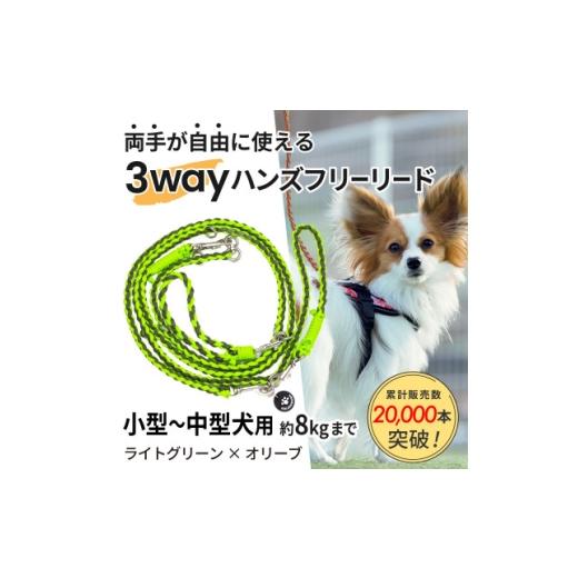 ふるさと納税 雑貨・日用品 静岡県 掛川市 犬用 3WAYハンズフリーリード(小型〜中型犬用)ライトグリーン×オリーブ ゴールデンママ 1743132
