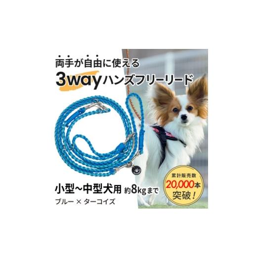 ふるさと納税 雑貨・日用品 静岡県 掛川市 犬用 3WAYハンズフリーリード(小型〜中型犬用)ブルー×ターコイズ ゴールデンママ 1743137