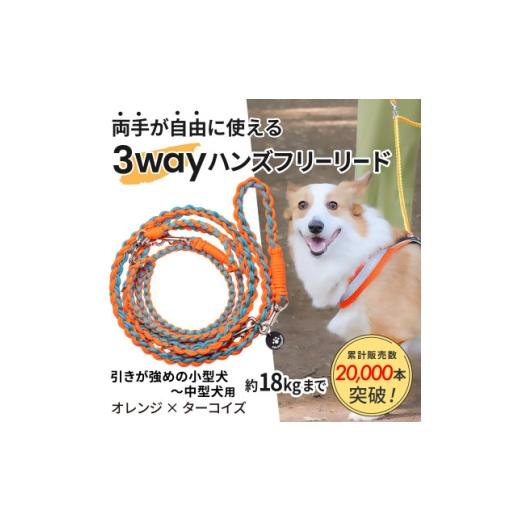 ふるさと納税 雑貨・日用品 静岡県 掛川市 犬用 3WAYハンズフリーリード(引きが強めの小型〜中型犬)オレンジ×ターコイズ ゴールデンママ 1743147