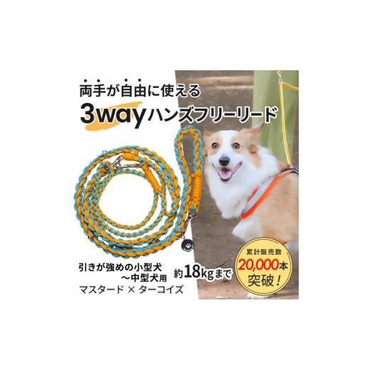 ふるさと納税 雑貨・日用品 静岡県 掛川市 犬用 3WAYハンズフリーリード(引き強めの小型〜中型犬)マスタード×ターコイズ ゴールデンママ 1743148