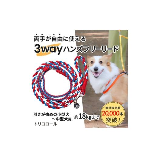 ふるさと納税 雑貨・日用品 静岡県 掛川市 犬用 3WAYハンズフリーリード(引きが強めの小型〜中型犬)トリコロール ゴールデンママ 1743151
