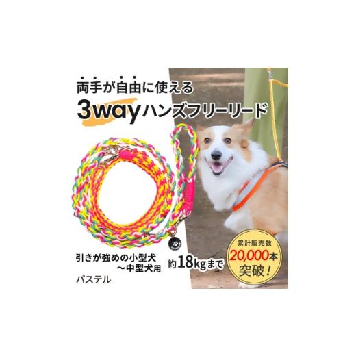 ふるさと納税 雑貨・日用品 静岡県 掛川市 犬用 3WAYハンズフリーリード(引きが強めの小型〜中型犬)パステル ゴールデンママ 1743153
