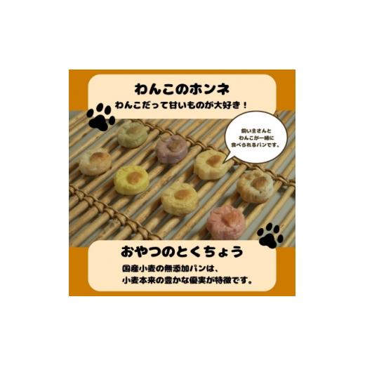 ふるさと納税 雑貨・日用品 大阪府 和泉市 わんことシェアできる無添加パン 国産小麦の豊かな風味を味わう8種セット CORE BIRTH 各1個 1744931
