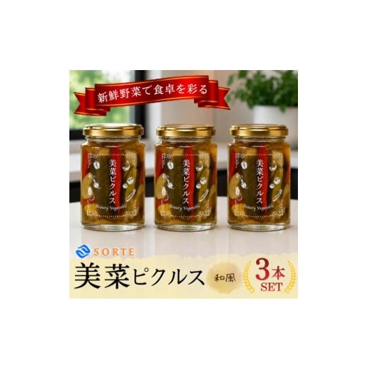 ふるさと納税 加工品等 漬物 大阪府 和泉市 ご飯のお供や箸休めに 利尻昆布の極上ダシと赤穂の塩が野菜の旨みを引き出す、美菜ピクルス(和風)3本 1745304