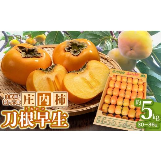 ふるさと納税 果物類 柿 山形県 鶴岡市 令和8年産先行予約 庄内柿 刀根早生 5kg(30〜36玉) 山形県鶴岡市 わたなべフルーツファクトリー | 柿 カキ …
