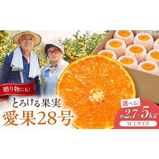 ふるさと納税 果物類 みかん 愛媛県 砥部町 みかん 愛果28号 約2.7kg M-Lサイズ 12月上旬から2月下旬まで順次発送 / フルーツ 果物 蜜柑 ミカン オレンジ 甘…