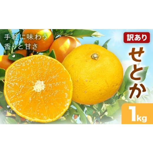 ふるさと納税 みかん・柑橘類 和歌山県 紀の川市 せとか 訳あり 1kg(4-10玉前後) 株式会社農業福祉研究機構[2027年2月下旬-3月下旬頃出荷]和歌山県 紀の川市…