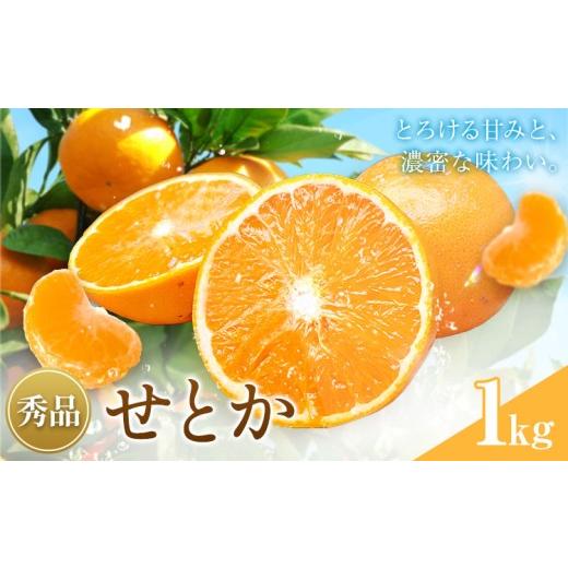 ふるさと納税 みかん・柑橘類 和歌山県 紀の川市 せとか 秀品 1kg(4-8玉前後) 株式会社農業福祉研究機構[2027年2月下旬-3月下旬頃出荷]和歌山県 紀の川市 送…