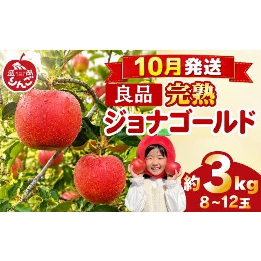 ふるさと納税 りんご 岩手県 盛岡市 先行予約 贈答用 りんご 3kg ジョナゴールド 良品 <10月発送> 農家直送 果物 フルーツ 林檎 リンゴ シャキシャキ 国…