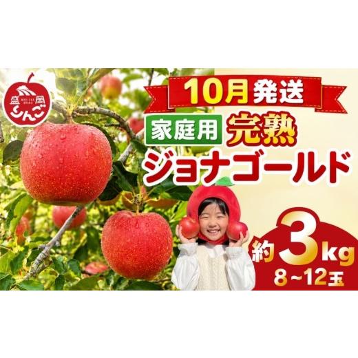 ふるさと納税 果物類 岩手県 盛岡市 先行予約 訳あり りんご 3kg ジョナゴールド 家庭用 <10月発送> 農家直送 果物 フルーツ 林檎 リンゴ シャキシャキ …