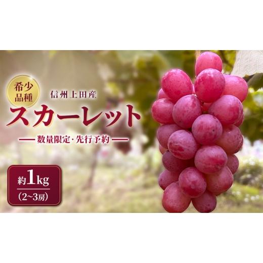 ふるさと納税 果物類 ぶどう 長野県 上田市 スカーレット 信州上田産 約1kg 2〜3房 ぶどう ブドウ 1kg 種なし 皮ごと 果物 くだもの フルーツ デザート 旬の果…