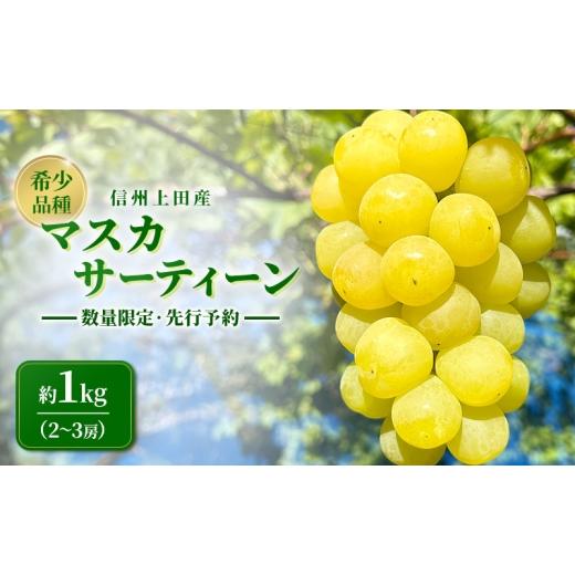 ふるさと納税 果物類 ぶどう 長野県 上田市 マスカサーティーン 信州上田産 約1kg 2〜3房 ぶどう ブドウ 1kg 種なし 皮ごと 果物 くだもの フルーツ デザート …