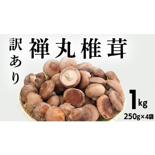 ふるさと納税 野菜類 きのこ 岩手県 紫波町 訳あり/不揃い 禅丸椎茸 1kg (250g×4パック) 岩手県紫波町産 椎茸 しいたけ 生しいたけ 不揃い 小分け ワケアリ…