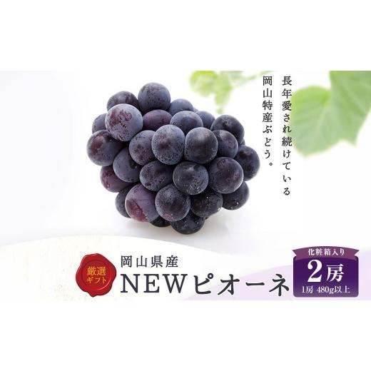 ふるさと納税 果物類 ぶどう 岡山県 美咲町 ニューピオーネ 2房 ( 1房 480g以上 ) 化粧箱入り ぶどう ブドウ 葡萄 フルーツ 果物 くだもの ギフト 贈答 プレ…