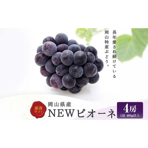 ふるさと納税 果物類 ぶどう 岡山県 美咲町 ニューピオーネ 4房 ( 1房 480g以上 ) ぶどう ブドウ 葡萄 フルーツ 果物 くだもの 岡山県産 国産 2026年8月下旬…