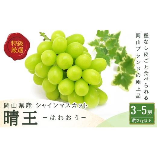 ふるさと納税 ぶどう マスカット 岡山県 美咲町 シャインマスカット 晴王 3〜5房 ( 約2kg ) マスカット ぶどう ブドウ 葡萄 フルーツ 果物 くだもの 岡山県…