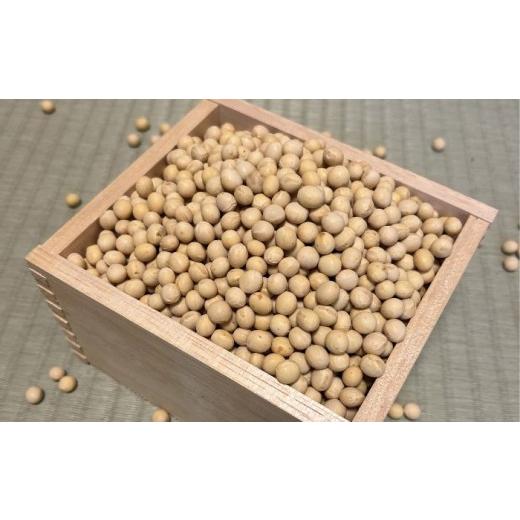 ふるさと納税 豆類 大豆 北海道 足寄町 北海道 あしょろの大豆 1kg×2袋[足寄町] 党崎農場 BEAA026 大豆 だいず ダイズ daizu 豆 まめ マメ 和食 煮豆 スー…