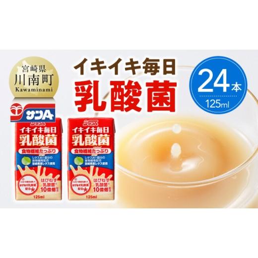 ふるさと納税 果汁飲料 やさい 宮崎県 川南町 サンA イキイキ毎日乳酸菌(紙)125ml×24本 宮崎県 川南町 飲料類 乳酸菌 セット ジュース 紙パック 24本