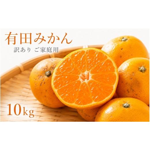 ふるさと納税 果物類 みかん 和歌山県 すさみ町 和歌山有田みかん10kg 訳ありご家庭用 2S〜2Lサイズ混合 / みかん くだもの フルーツ