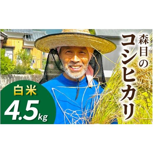 ふるさと納税 米 ミルキークイーン 福井県 大野市 令和8年産 新米 先行予約 白米 福井県大野市 森目のコシヒカリ4.5kg | お米 米 こめ 白米 コシヒカリ お米…