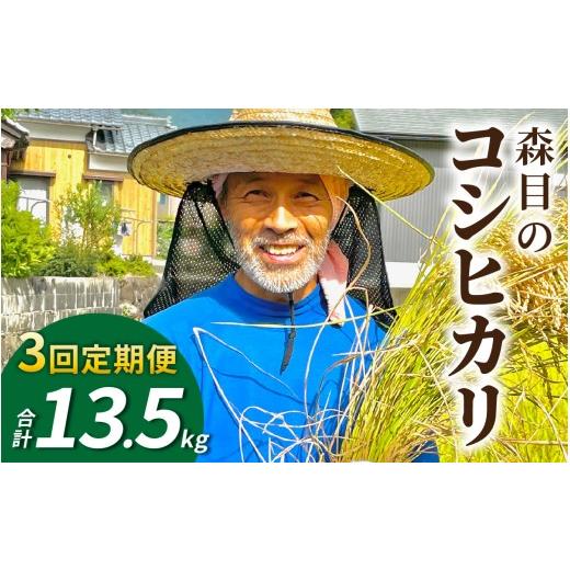 ふるさと納税 米 コシヒカリ 福井県 大野市 令和8年産 新米 先行予約 3ヶ月定期便 白米 福井県大野市 森目のコシヒカリ 計13.5kg 4.5kg×3袋 | お米 米 こめ…