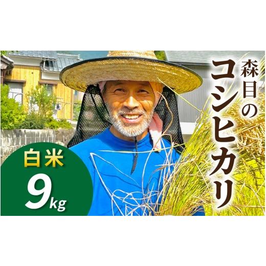 ふるさと納税 米 コシヒカリ 福井県 大野市 令和8年産 新米 先行予約 白米 福井県大野市 森目のコシヒカリ9.0kg | お米 米 こめ 白米 コシヒカリ お米 精米 …