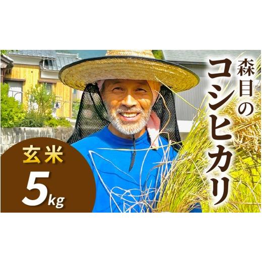 ふるさと納税 米 コシヒカリ 福井県 大野市 令和8年産 新米 先行予約 玄米 福井県大野市 森目のコシヒカリ5kg | お米 米 こめ 玄米 コシヒカリ お米 精米 白…