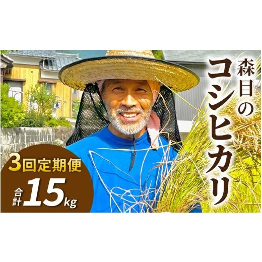 ふるさと納税 米 コシヒカリ 福井県 大野市 令和8年産 新米 先行予約 3ヶ月定期便 玄米 福井県大野市 森目のコシヒカリ 計15kg 5kg×3袋 | お米 米 こめ げ…