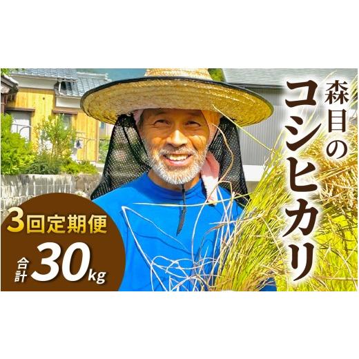 ふるさと納税 米 コシヒカリ 福井県 大野市 令和8年産 新米 先行予約 3ヶ月定期便 玄米 福井県大野市 森目のコシヒカリ計30kg (5kg×2袋) 3回配送 | お米 米 …