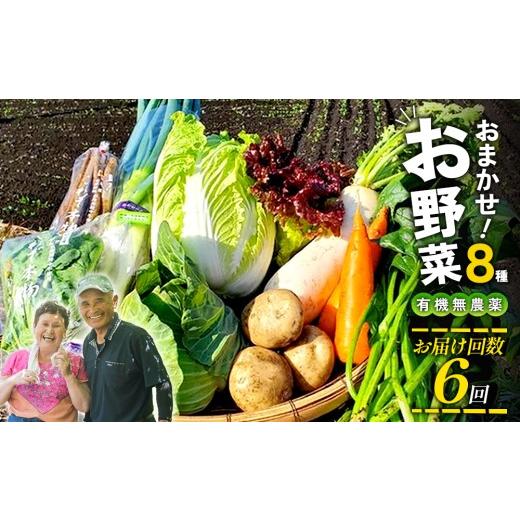 ふるさと納税 セット・詰合せ 宮崎県 えびの市 6回定期便 特別栽培季節のお野菜セット 8品 野菜 無農薬 有機栽培 新鮮 やさい 旬 詰合せ 国産 宮崎県 九州 送…
