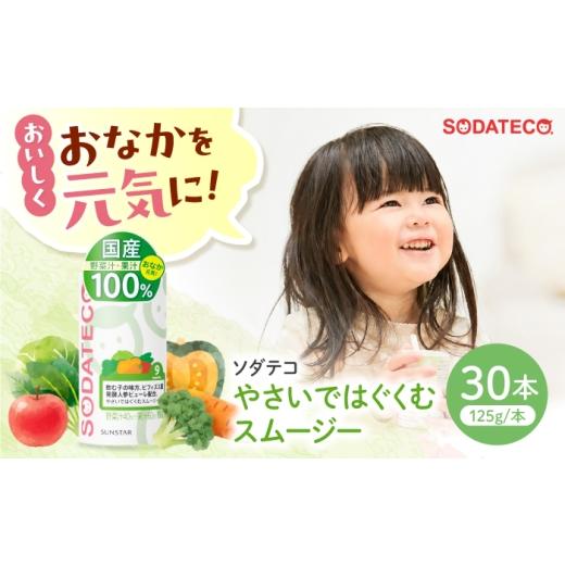 ふるさと納税 果汁飲料 やさい 大阪府 高槻市 ソダテコ やさいではぐくむスムージー 1本125g×30本入 ベビーケア 国産 砂糖・食塩不使用 保存料無添加 紙パッ…