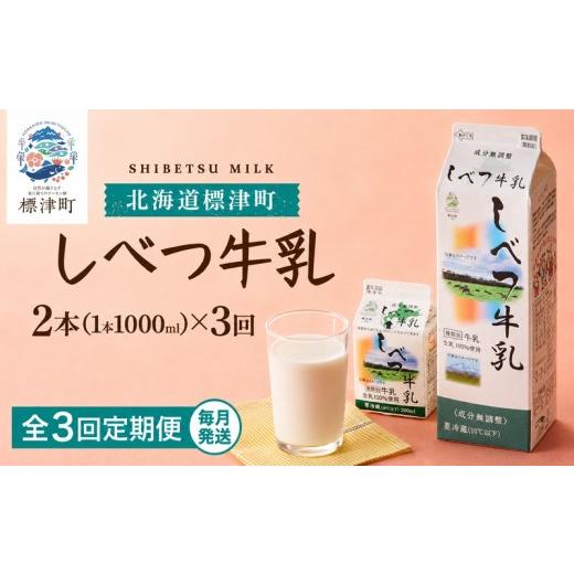 ふるさと納税 飲料類 牛乳 北海道 標津町 毎月2本 3か月 定期便 しべつ牛乳 1L × 2本 北海道産 パックミルク 選べる 全3回 定期便 低容量 牛乳 乳製品 生乳 …