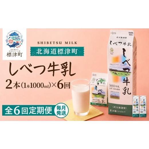 ふるさと納税 飲料類 牛乳 北海道 標津町 毎月2本 6か月 定期便 しべつ牛乳 1L × 2本 北海道産 パックミルク 全6回 定期便 低容量 牛乳 乳製品 生乳 生乳100…