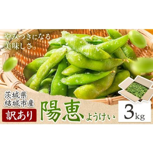 ふるさと納税 豆類 枝豆 茨城県 結城市 枝豆 えだまめ 訳あり 陽恵(茶豆味)3kg 有限会社大嶋農園 [6月中旬-7月上旬頃出荷予定] えだまめ 野菜 国産 甘み …