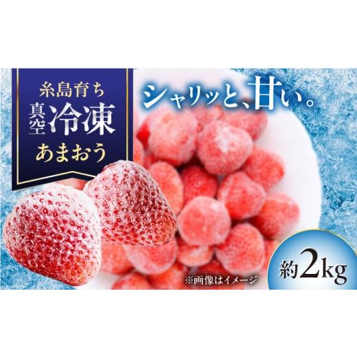 ふるさと納税 いちご 福岡県 糸島市 福岡県産 真空冷凍 あまおう いちご 約2kg / 削りいちご 加工用 苺 イチゴ フルーツ 果物 / 糸島市 / mhshops