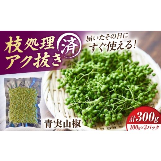 ふるさと納税 加工品等 滋賀県 長浜市 佃煮の伊吹 青実山椒 300g 滋賀県長浜市/伊吹食品株式会社