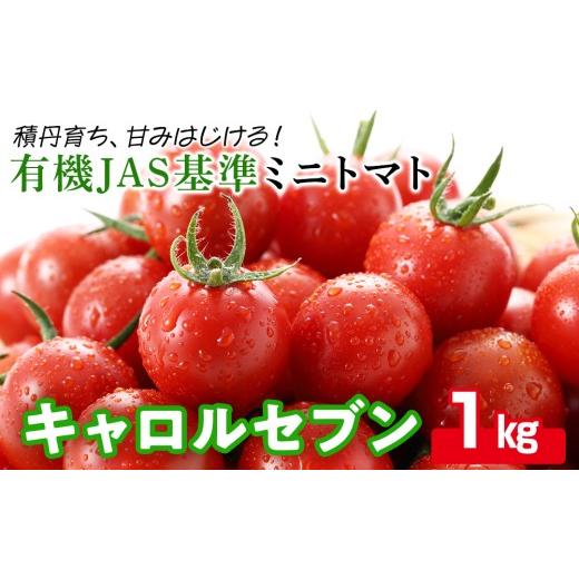 ふるさと納税 トマト ミニトマト 北海道 積丹町 先行受付[100%有機肥料使用]積丹産ミニトマト「キャロル7」たっぷり1kg