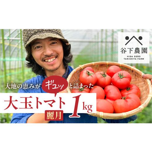 ふるさと納税 野菜類 トマト 岐阜県 下呂市 先行予約 2026年7月上旬頃から順次発送 期間限定 有機JAS認証 地元下呂市の人気者 大地の恵みがぎゅーっと詰まった…