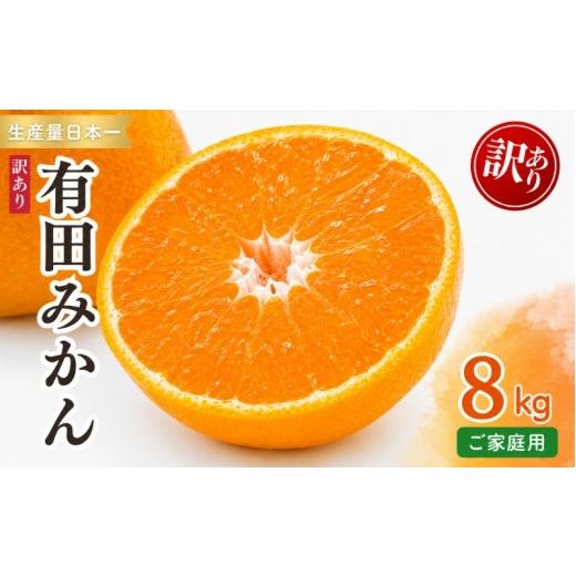 ふるさと納税 みかん・柑橘類 和歌山県 由良町 紀州 有田 みかん 8kg 訳あり (2L・3Lいずれかお届け) / 温州みかん 有田みかん 甘い キズ 和歌山 柑橘 202…