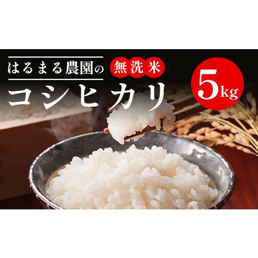 ふるさと納税 米 コシヒカリ 京都府 福知山市 令和8年産 京都丹波福知山産 はるまる農園のコシヒカリ 無洗米(5kg) fc-CN001-R8-A はるまる農園 コシヒカリ 無…